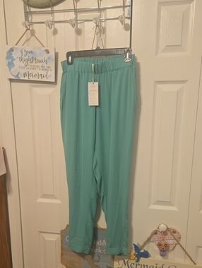 Alice Moon Teal Pull-On Cropped Pants